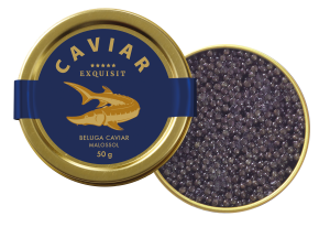 Exquisit BELUGA Stör Exquisit BELUGA Stör CAVIAR Premium Linie Malossol, 50g